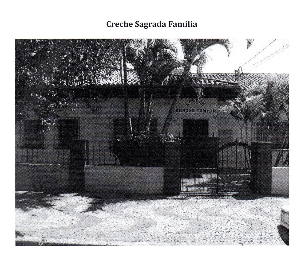 Projeto Sagrada Familia - Handebol